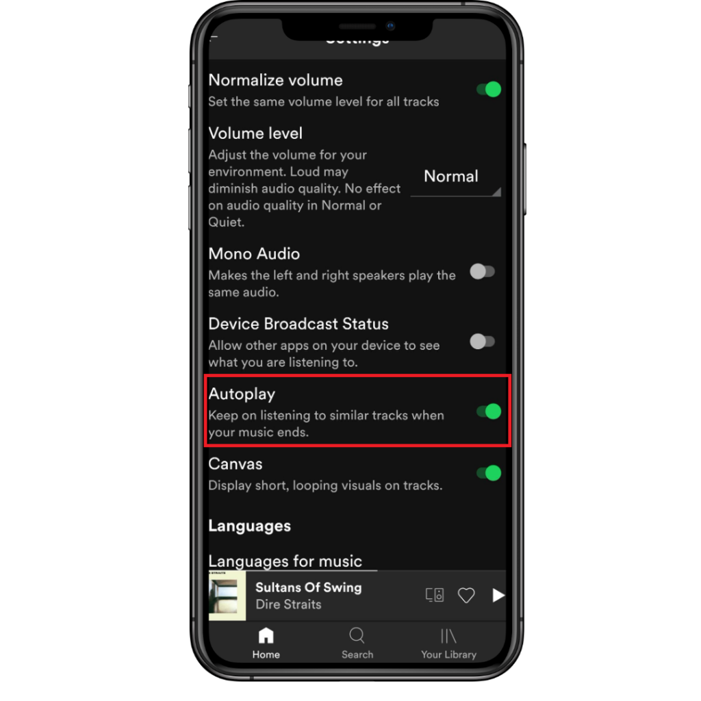 Turn off Autoplay on Spotify to stop spotify from playing random songs