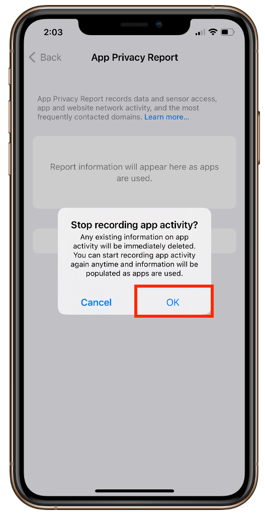 Click on OK to stop recording app activity