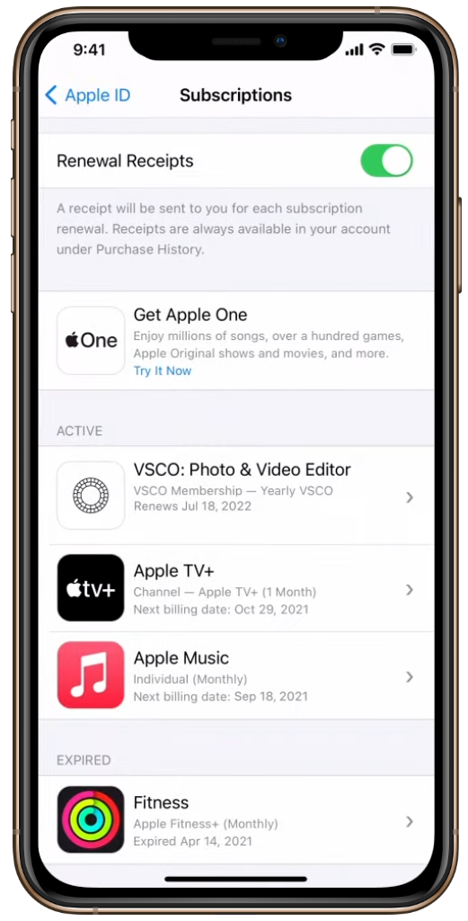 List of the subscriptions in App Store