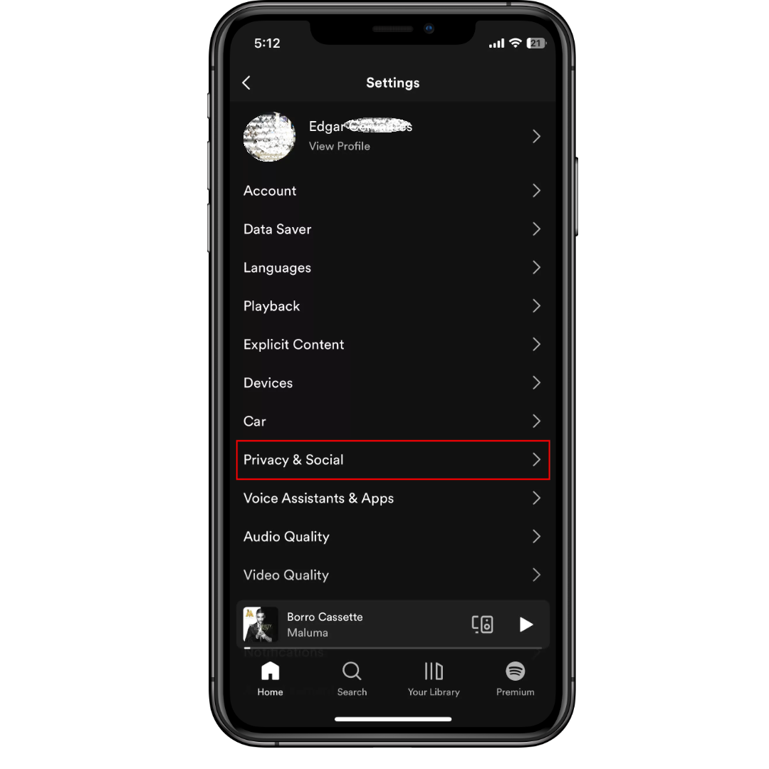 Select Privacy & Social in Spotify settings