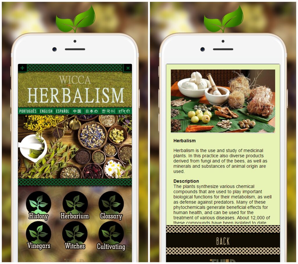 Wicca Herbalism Guide