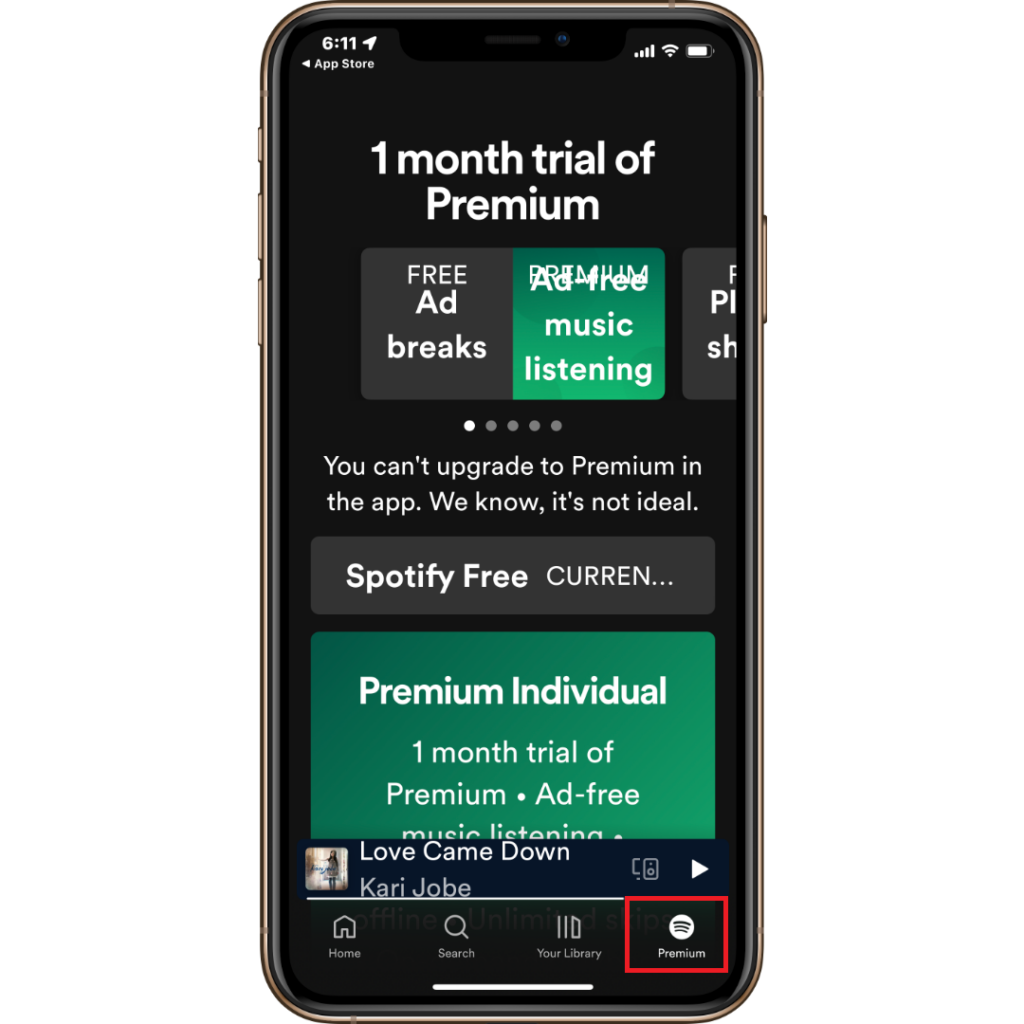 spotify premium option