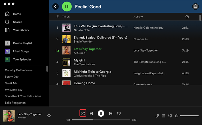 Shuffle Mode on Desktop in Spotify