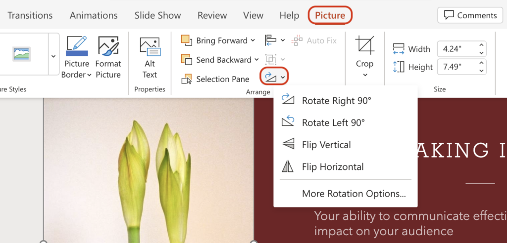 How To Flip an Image in PowerPoint? [2 Easy Ways]