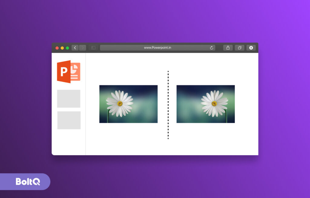 Flip Image in PowerPoint