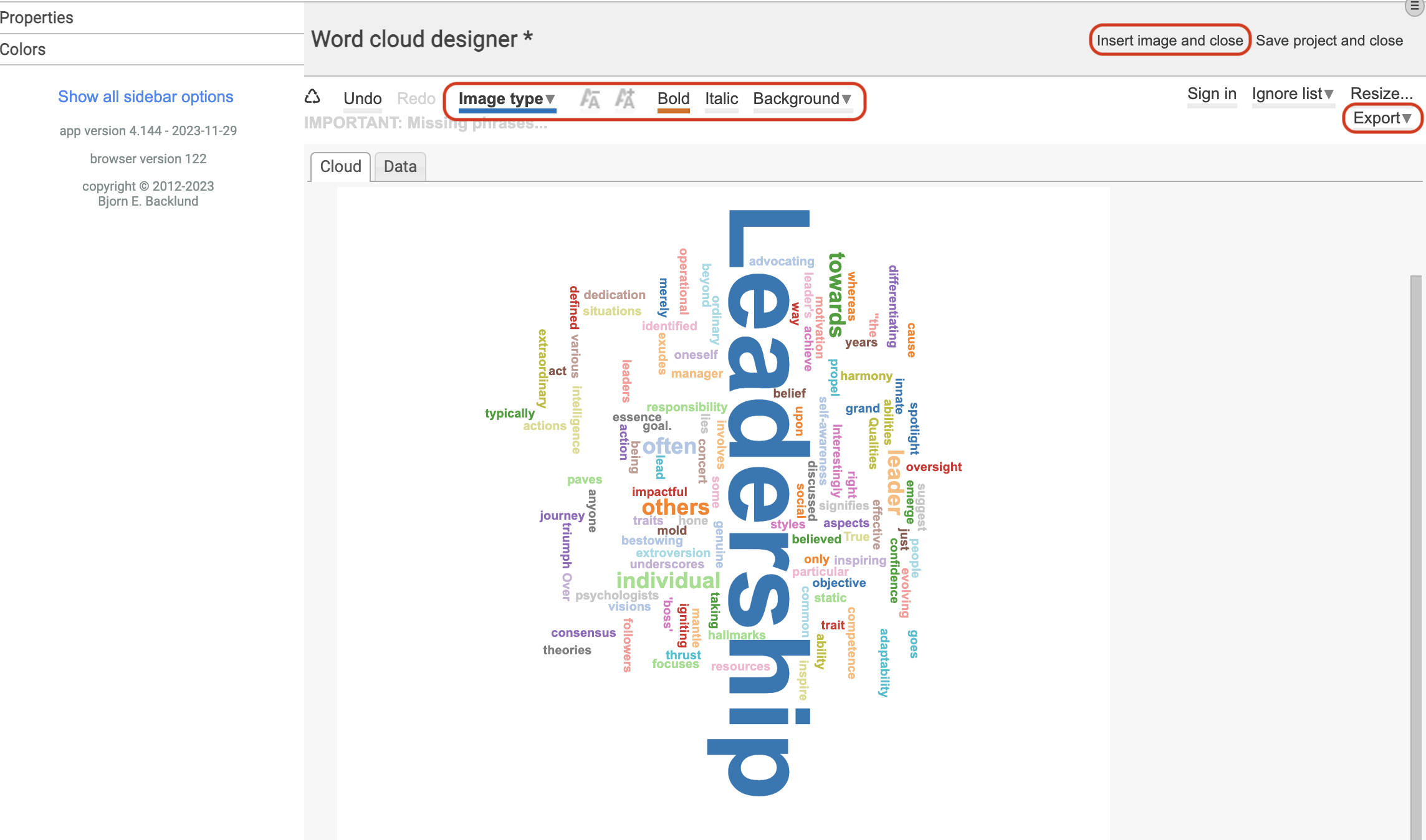 Format and Insert the Word Cloud